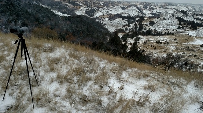 Glassing.jpg