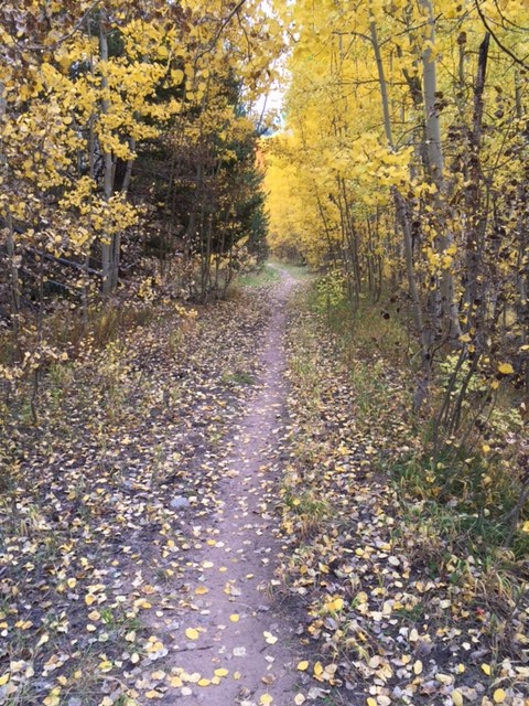 #7 Old School NOV18.jpg