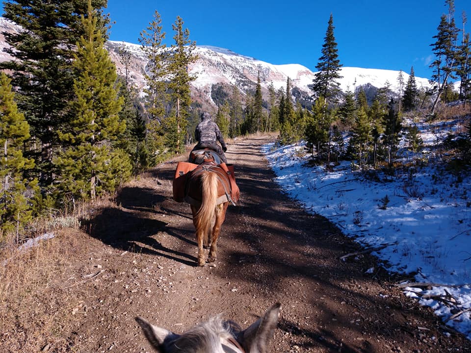 #3 T Grates NOV18.jpg