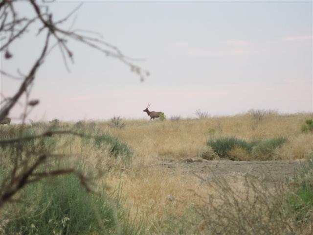 spike walking buy opening week 96 degrees small.JPG