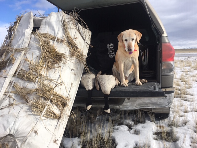 IMG_0588 hollys last hunt in the desert 19.JPG