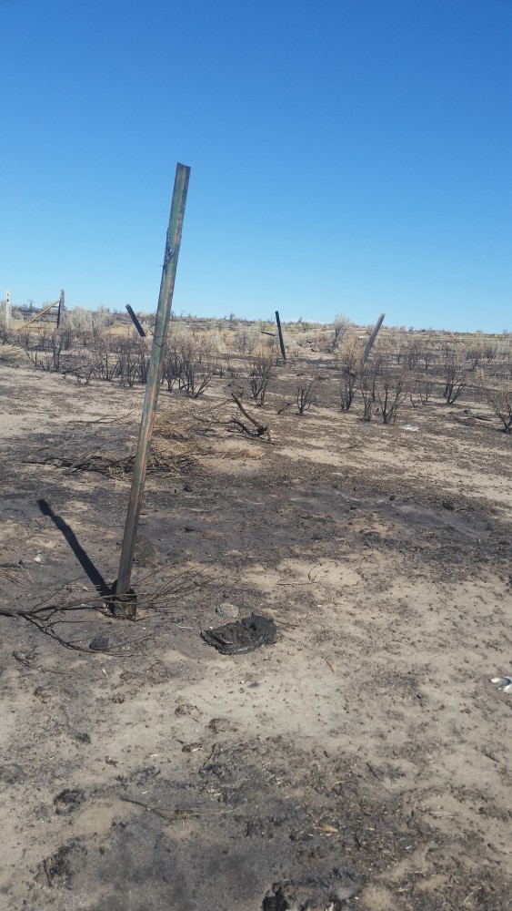 2016-09-11 11-33-20.jpg