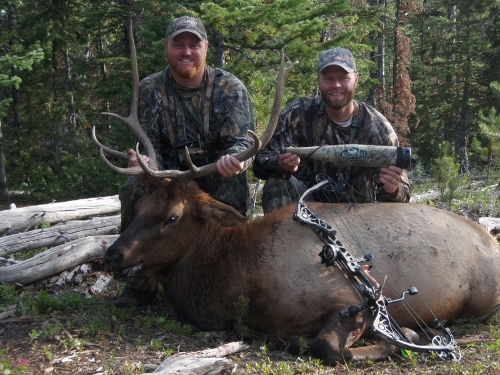 P9040220 (800x600) (500x375).jpg