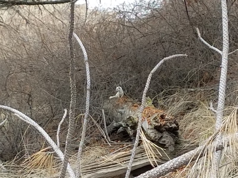 20190403_144809-800x600.jpg