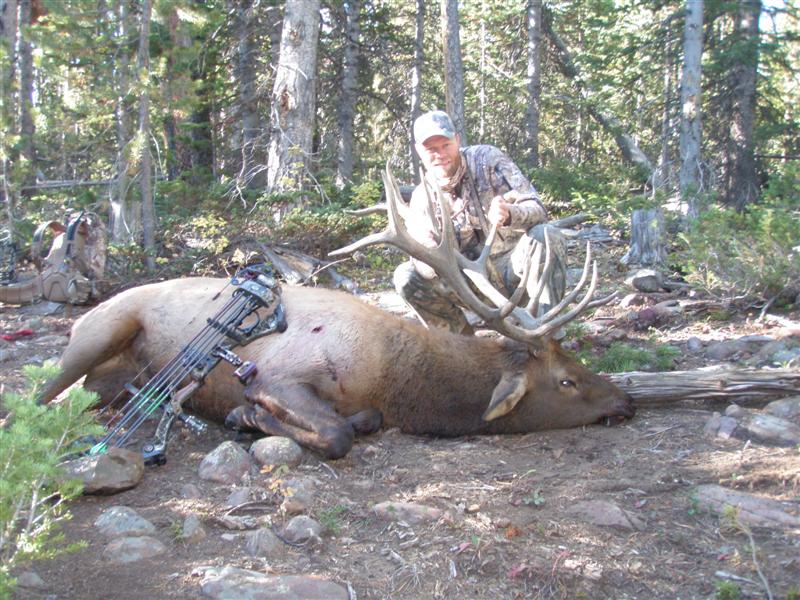 P9150010 (Medium).JPG