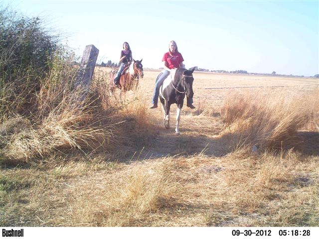 PICT0985 (Small).JPG