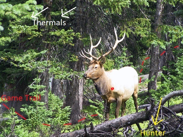 ground blind elk mark up.jpg