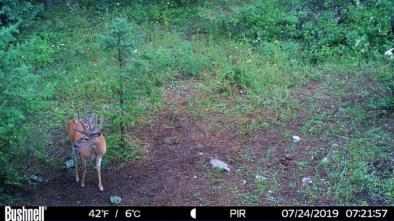 HUNT0253-800x449.JPG
