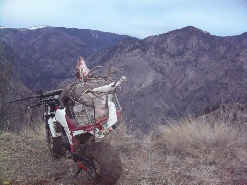 deer rifle 2012 018.jpg