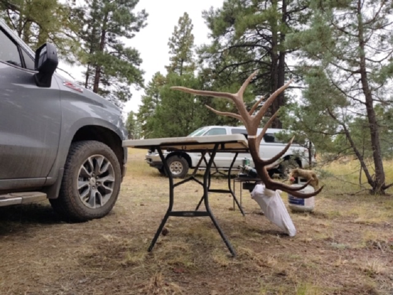 TrophyHill2019#2.png