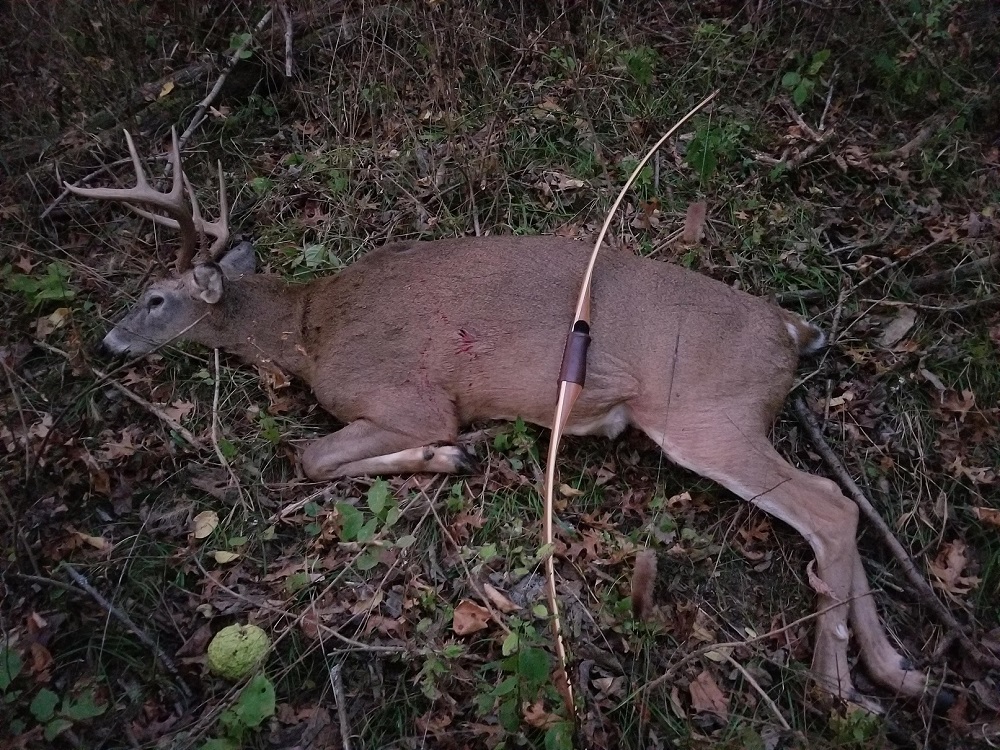 Deer.jpg