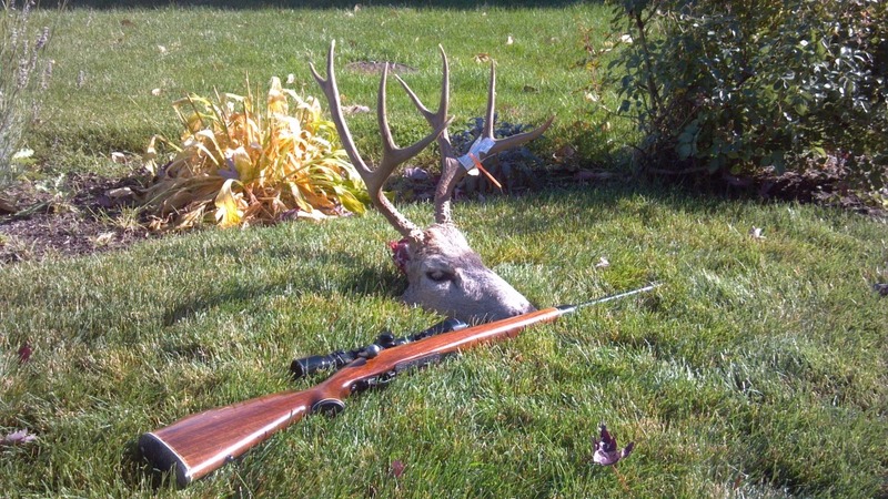2012 Mulie Resized.jpg