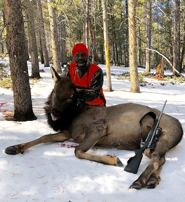 Elk Cow 2019 (1) Resized.jpg