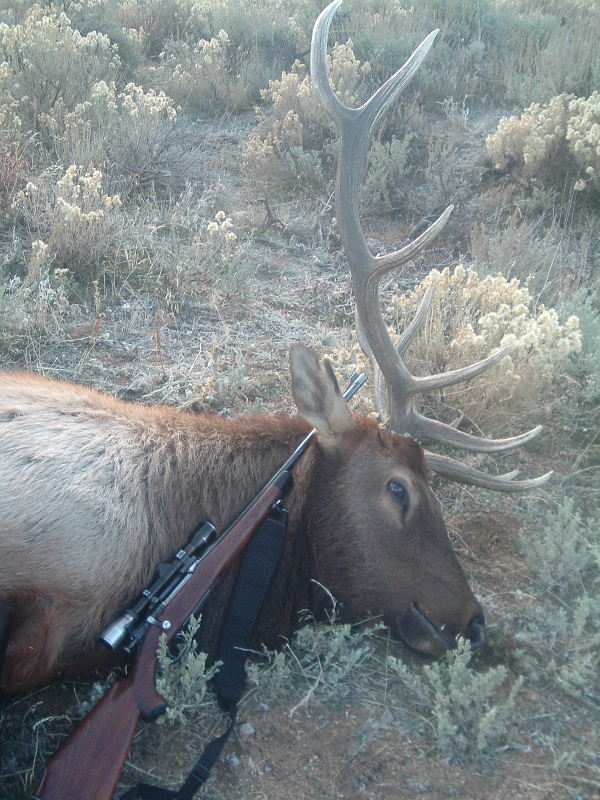 2007_11030015 sm.JPG