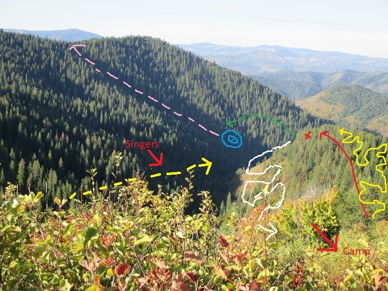 Scenario Image 1.JPG