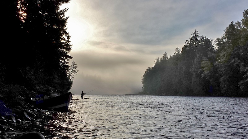 AUG - My home state - 7MMfan.jpg