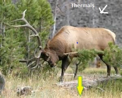 Elk%20Image%20#1%20w-markups.jpg