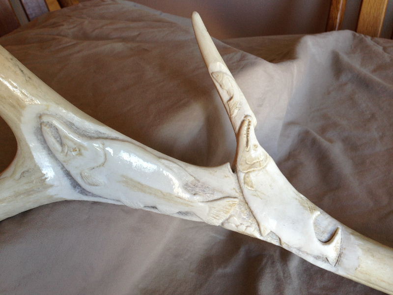 Salmon Antler 001sm.jpg