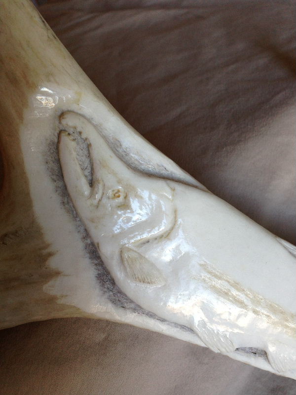 Salmon Antler 003sm.jpg