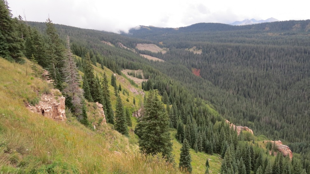 elk country billy goat pic 2015 resized.JPG