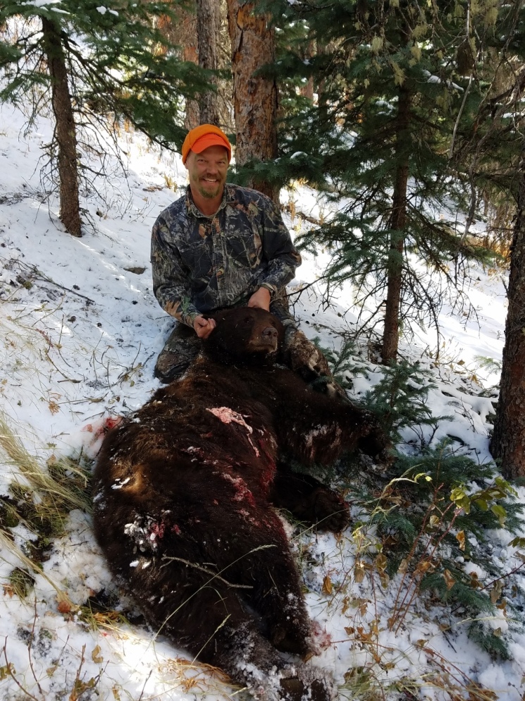 14 shane bear resized.jpg