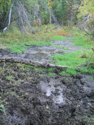Water Hole.jpg