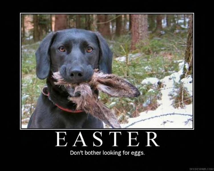Easter Lab.jpg