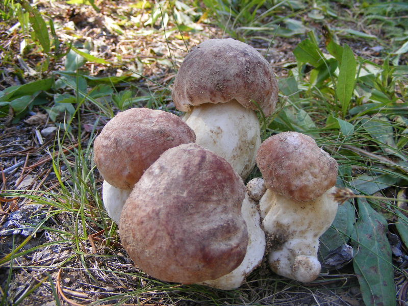 2009_07150079.JPG