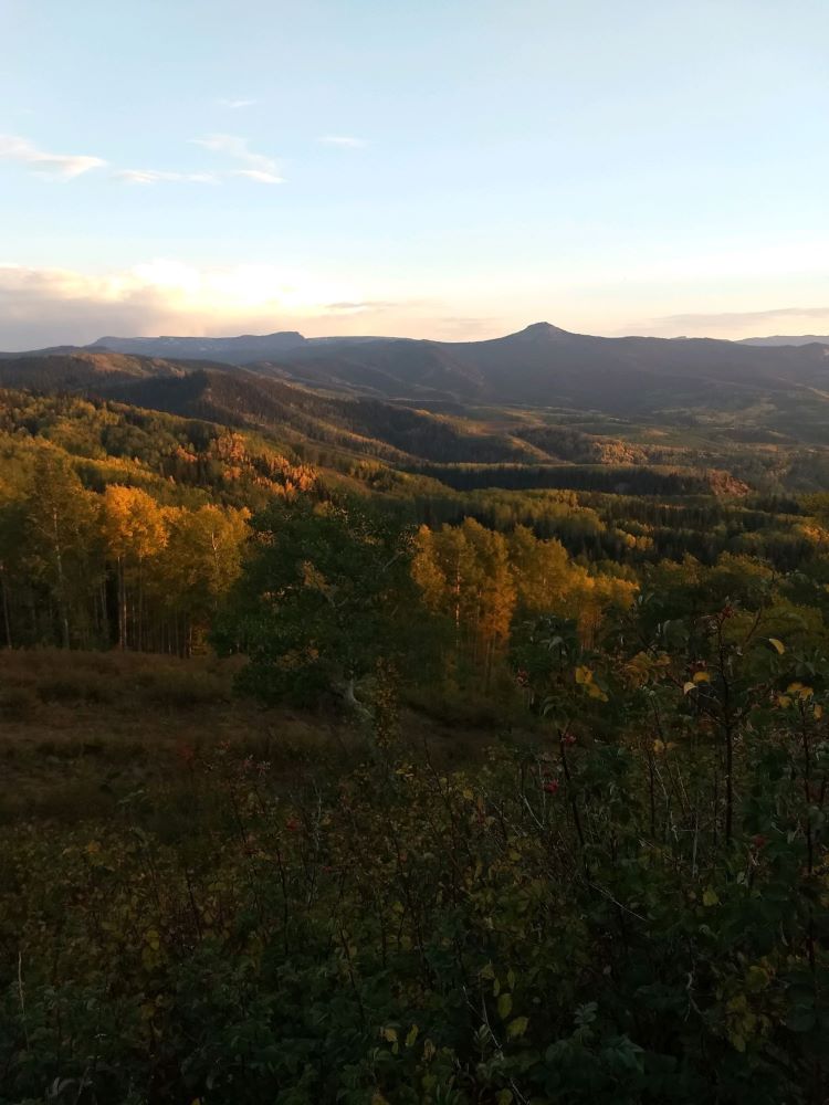 Jimmy Archery 2020 2.jpg