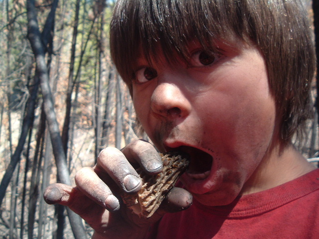 2006_0624Image0134.JPG