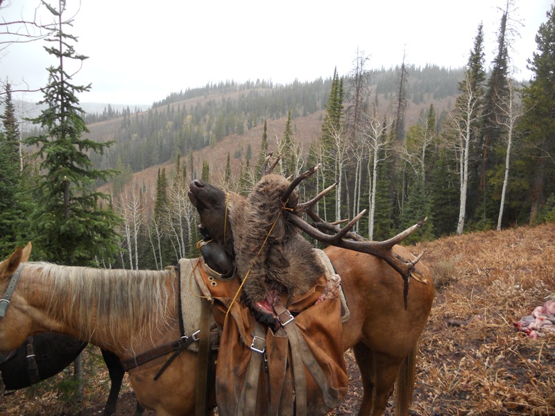 DSCN3810.JPG
