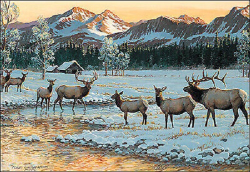 Merry Xmas Elk.jpg