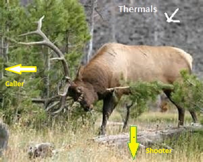 Elk Image #1 w-markups.jpg