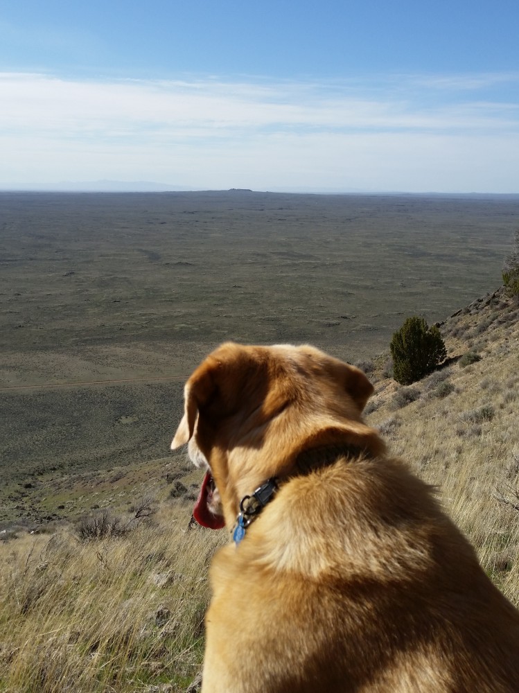 Holly on Big Butte.jpg