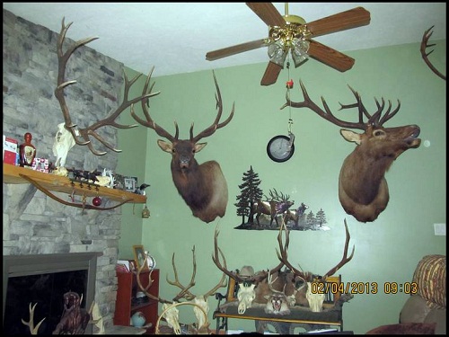 Living room.jpg