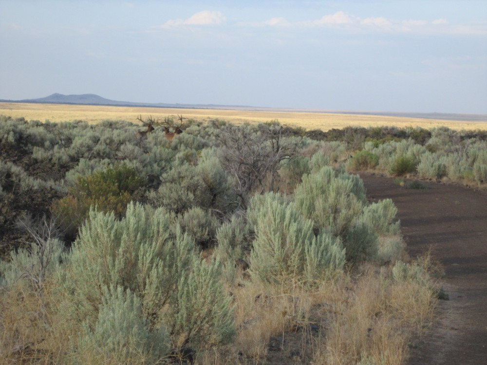 2013-08-01 07-48-00.JPG