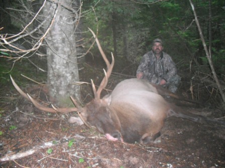 compressed doug 2.jpg