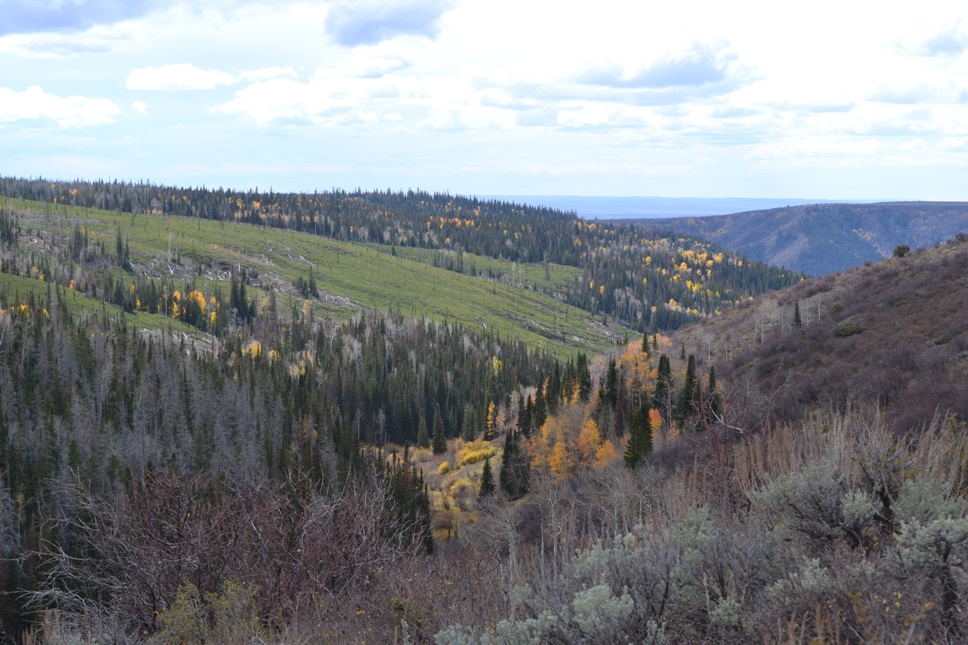 WY 2021.jpg