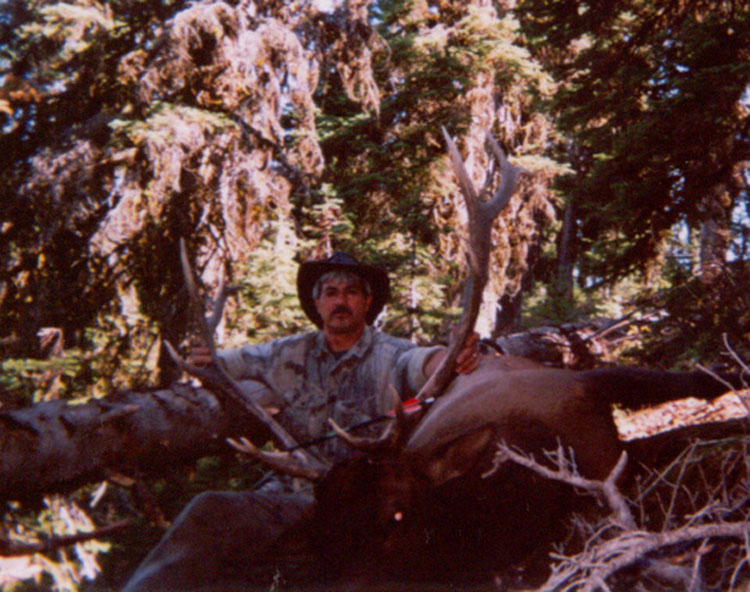 Paul's bull (2).jpg