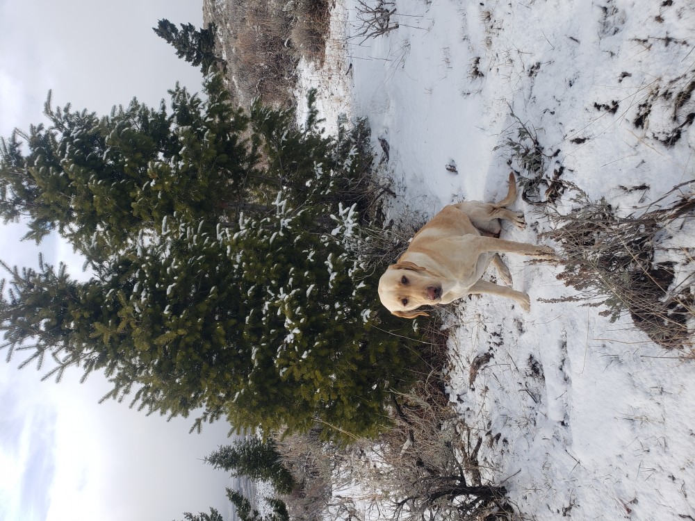 20211130_124034.jpg