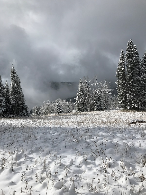 In the Clouds 2.jpg