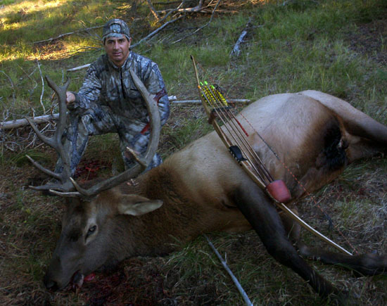 2 Paul 5 point bull 2006.jpg