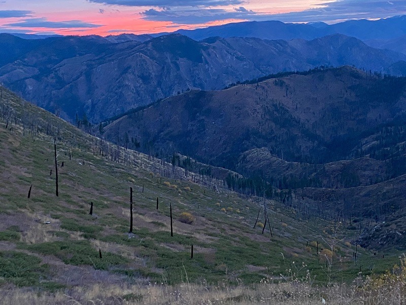 #10 NOV-Elk Country-7mm.jpg