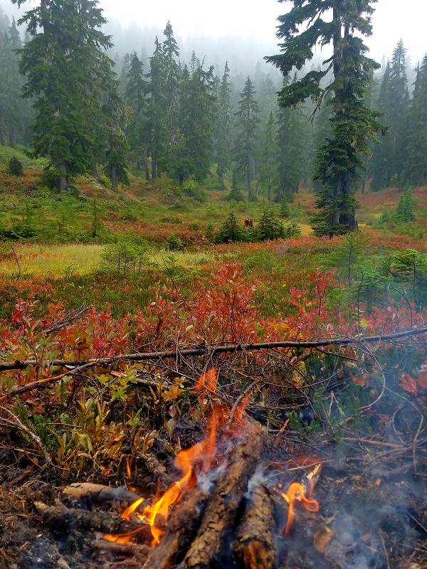 20180923_211218.jpg