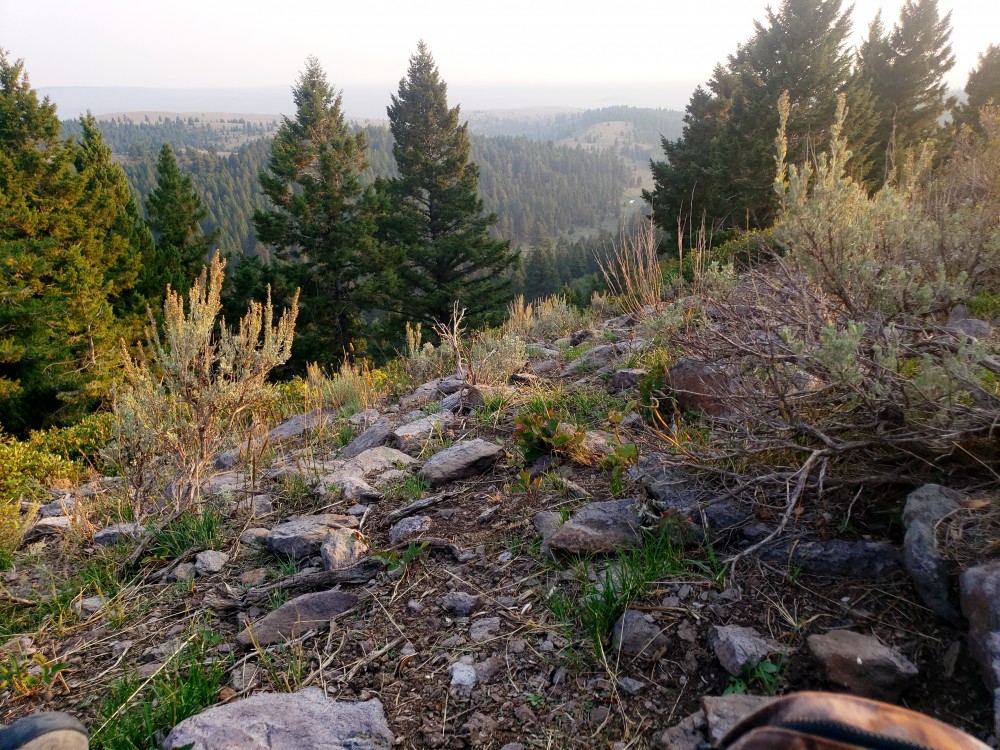 20210902_185123_01.jpg