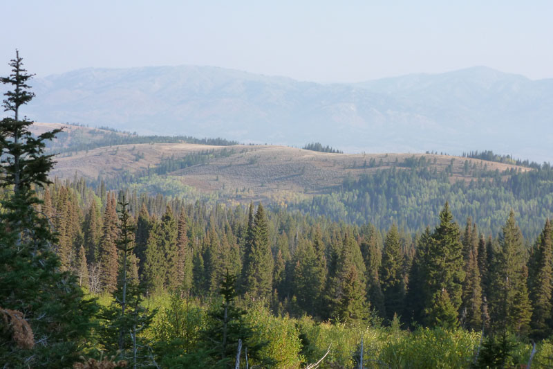 P1000057.JPG