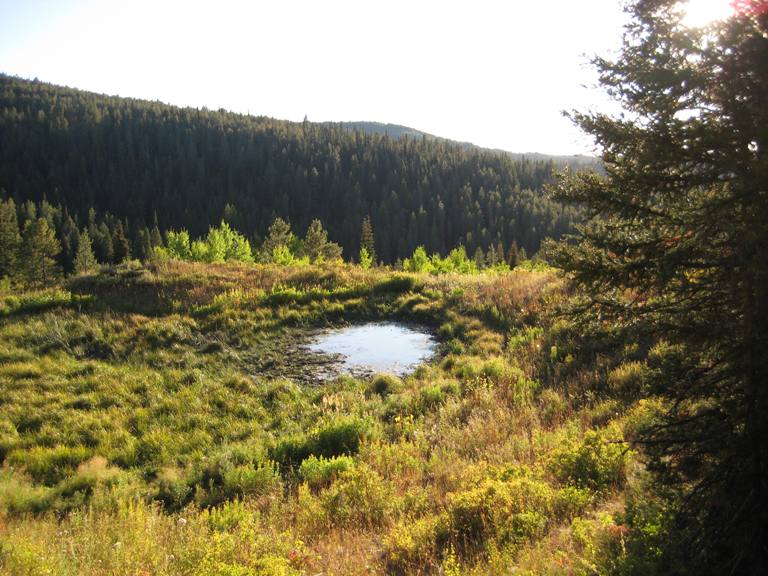 Waterhole.JPG