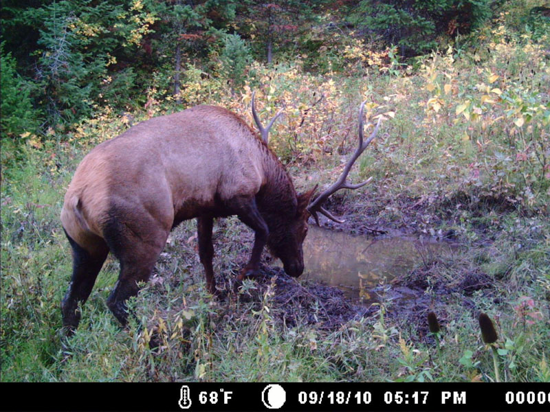 MDGC0021.JPG