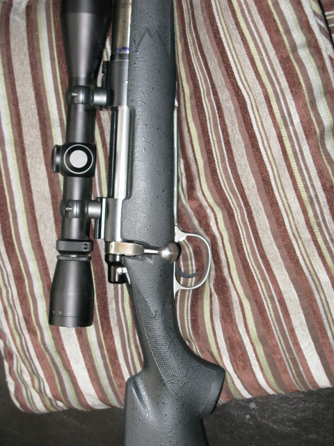 gun custom 001 (480x640).jpg