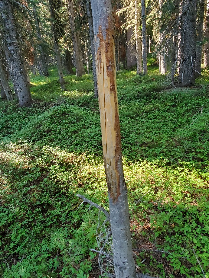 20200827_091302.jpg